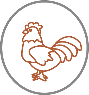 png12